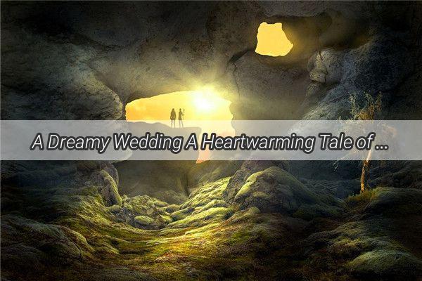 A Dreamy Wedding A Heartwarming Tale of Love Beyond Reality